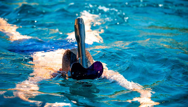 Boat Trip to Favignana - Photo 4, Snorkel above the seabed in turquoise waters