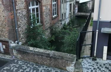 la licorne { T2 tous confort} centre ville - Foto 3