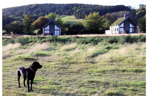 Eco-Lodge with hottub sea view Charleton Estate - Foto 14