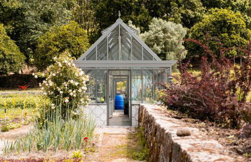 Vinte-Quinta da Boavista - Foto 143