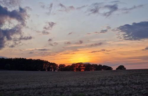 Ferienwohnung Kirchblick Nideggen - Foto 10
