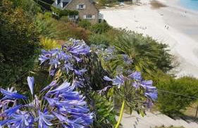 Maison bretonne rénovée proche bourg et plages - Foto 47