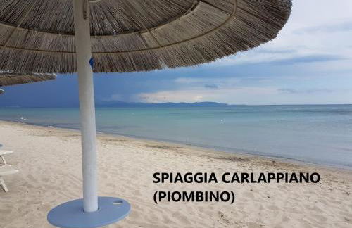 SPAZIO-CONFORT-FITNESS - Foto 34