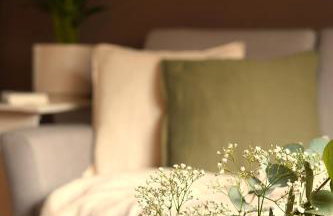 Happywild - Foto 1