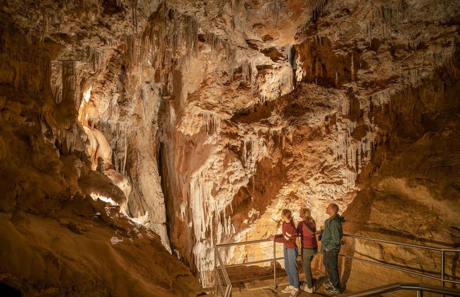 Wombeyan Caves - Foto 26