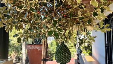 La casetta bellevue suite - Foto 3