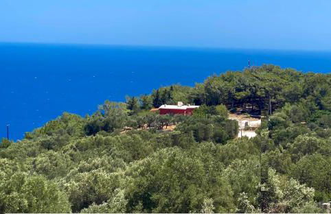 Coralina Cottage - Foto 8