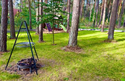 Domek na Jurze - Foto 7