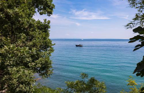 Plaza DelMar - Foto 24