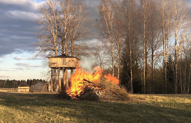 Treehouse Magpies Nest With Bubble Pool - Foto 31