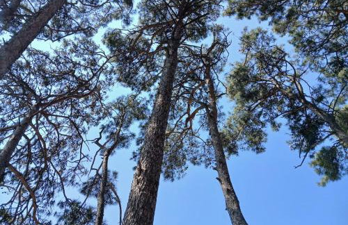 Melody cottage, Samos - Foto 36