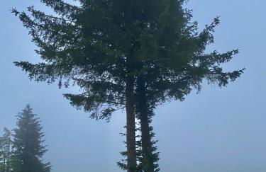 Lagnakeil Highland Lodges - Foto 12