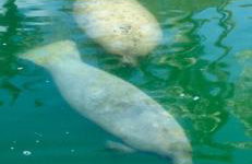 Fisherman Paradise - Foto 6