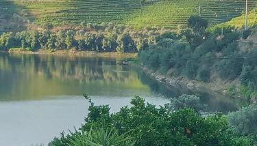 O cantinho da Laura - Photo 3