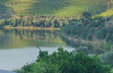 O cantinho da Laura - Photo 3