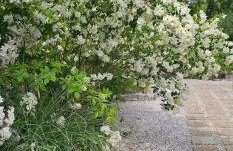 Cottage on the Hill - Foto 61