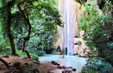 Stamna Farm - Foto 28