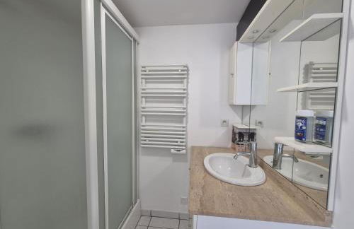 petit T2 de la fosse à l'âne - Photo 5