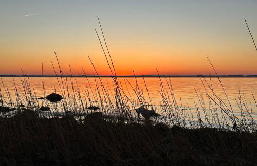 Fietje 206 - Hohen Wieschendorf - Foto 23