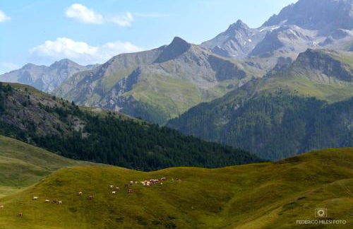 Chalet Tir Longë - Foto 49