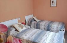 La Tillanzia - Foto 14