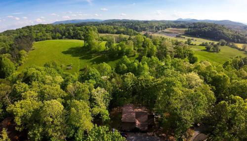 Luxe Family Cabin 8 min to Downtown Blue Ridge - Foto 2