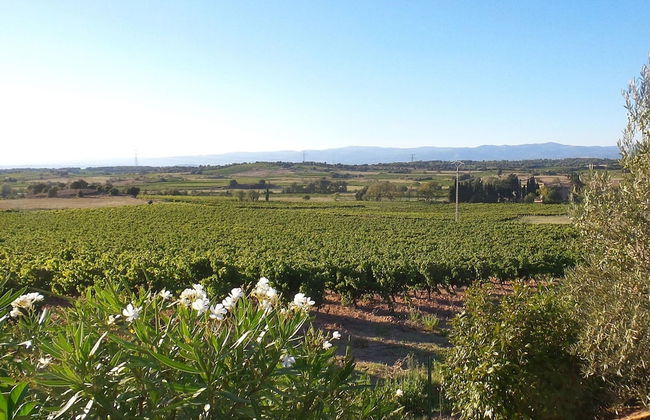 Villa in Montbrun With Pool and Mountain Views - Photo 40