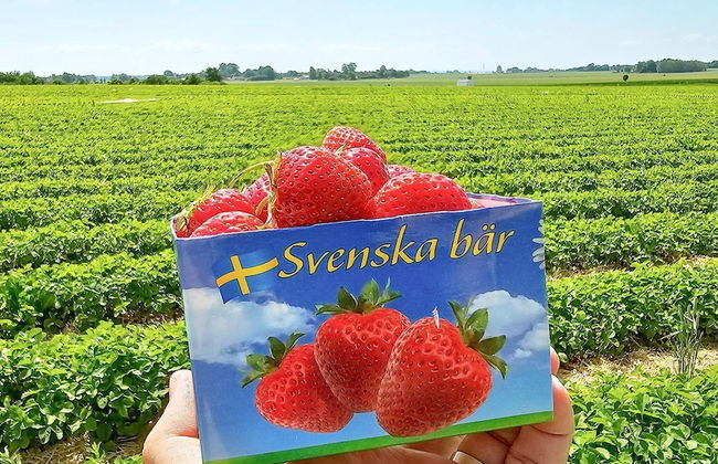 4 Star Holiday Home in Tomelilla-by Traum - Foto 12