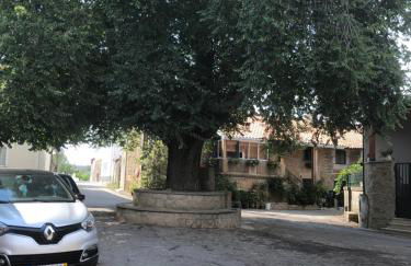 Casa do Pardal - Foto 23