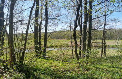 Dom za wydmą - Foto 13