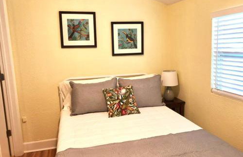 2 Bedroom Apt Overlooking Dunedin Town Square NO KIDS, NO PETS - Photo 6