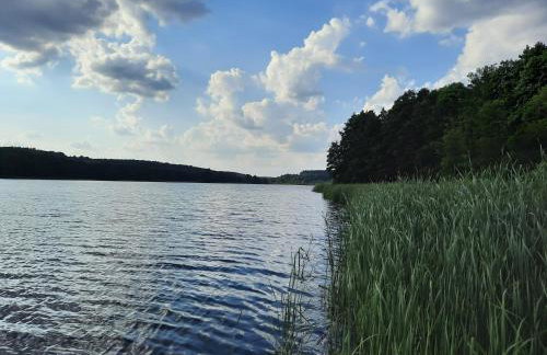 LAKE VIEW Apartamenty - Foto 35