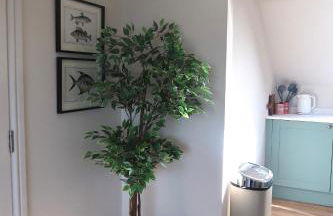 Apartments in the centre of Donaghadee - Foto 32