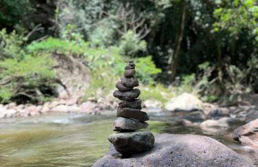 Canto da cascata - Foto 54