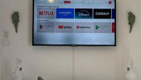 Gîte Relax'O'Zoo à 4min du Zoo - Foto 3