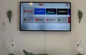 Gîte Relax'O'Zoo à 4min du Zoo - Foto 3