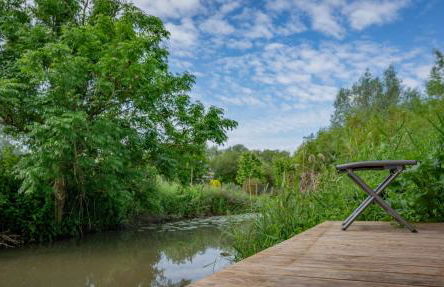 Tiny house au cœur du marais - Foto 48