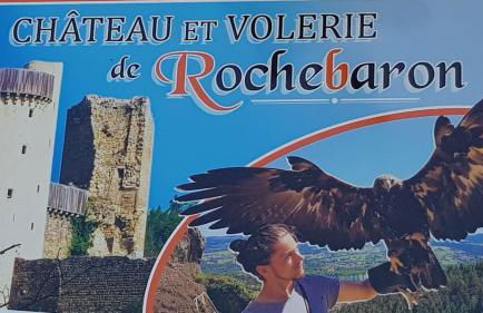 GITE BAS-EN-BASSET, HAUTE-LOIRE, MAISON et JARDIN ATYPIQUE PLEINE NATURE - Foto 29