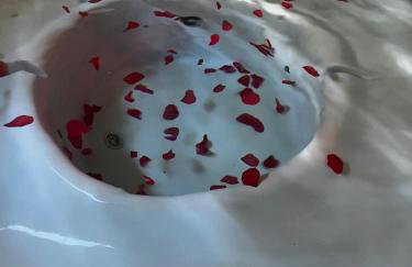 Activfarm domki na Kaszubach /domek Madzia - Foto 13