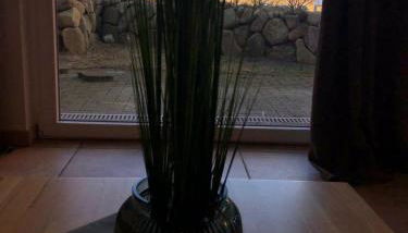 Sylt-Sonne-Meer - Foto 5, Garden view