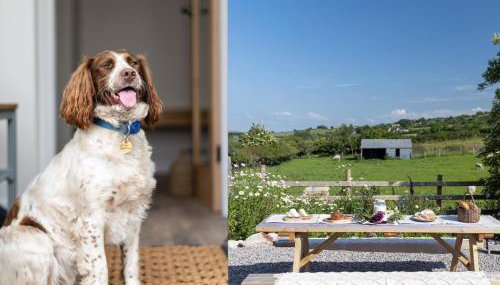 3 Bed in Denbigh oc-93994 - Foto 5, Other