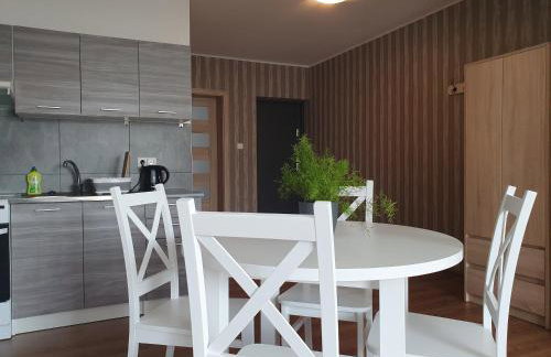 Willa "Aparthause" E-Apartamenty - Foto 34