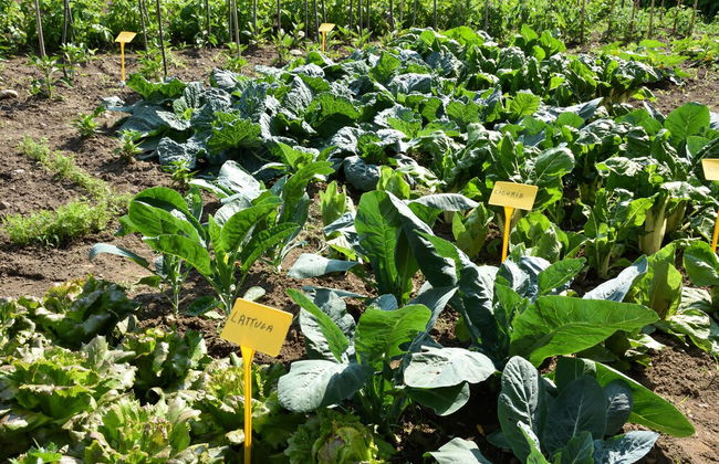 Agriturismo Il Colle - Foto 74