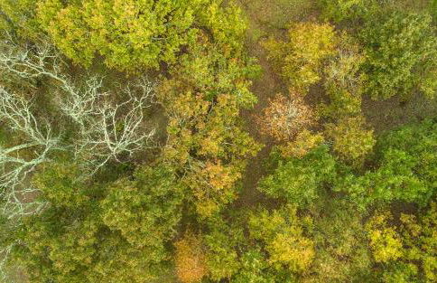 Chão do Rio - Turismo de Aldeia - Foto 29