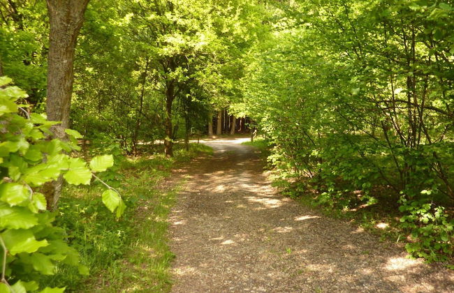 Cozy Chalet in Trois Ponts near Forest - Foto 30