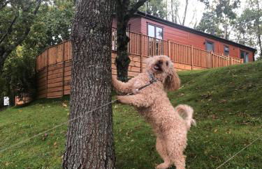 Lukes Lodge, where the fun begins, Woodland View, Hot Tub, dog friendly - Foto 31