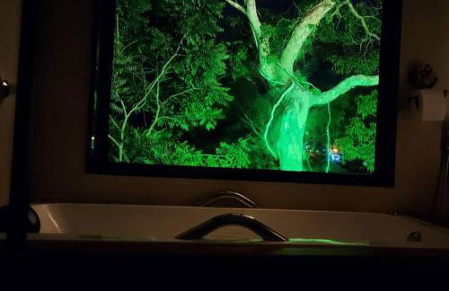 Casa do Alto Santa Mônica- Natureza ao seu redor - Foto 25