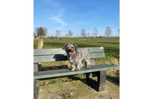 GRO-Holiday home Comfortable holiday residence - Foto 37