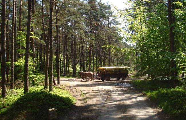 Holiday Home Crane's Nest - Foto 24