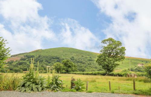 Byrdir Cottage - Photo 40